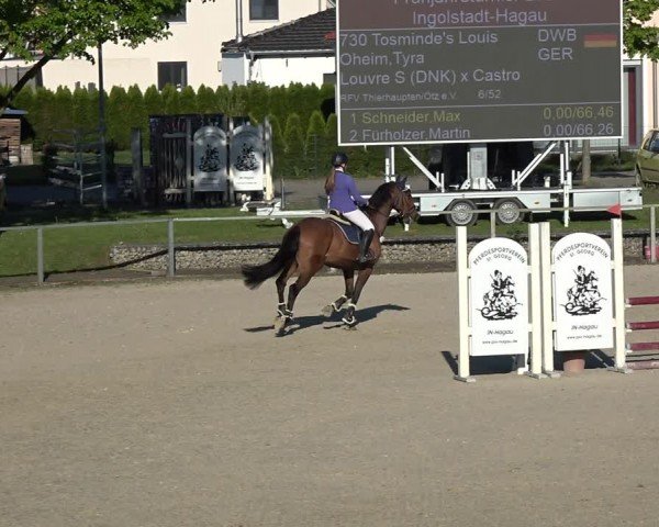 Reitturnier Ingolstadt-Hagau/Obb. 2024