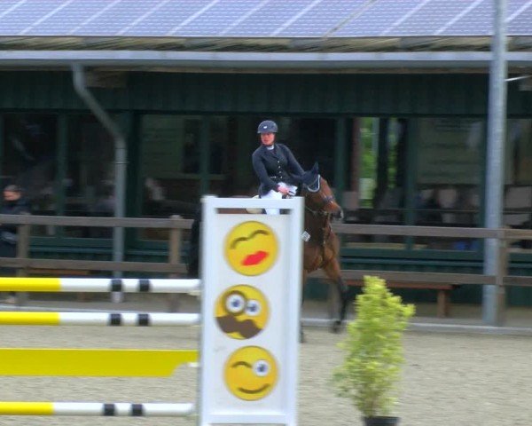 Reitturnier Heiden 2024