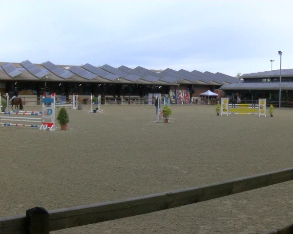 Reitturnier Heiden 2024
