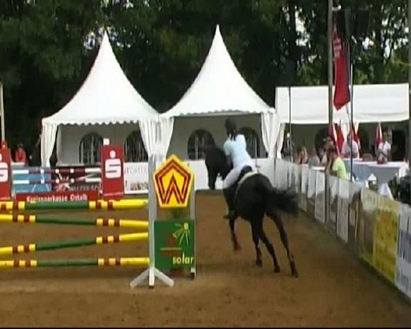 HORSE classics Killingen 2011
