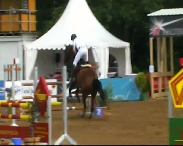 HORSE classics Killingen 2011