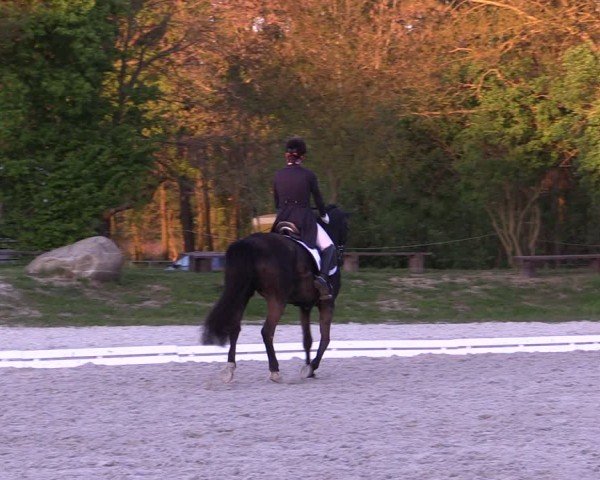 Reitturnier Pietzpuhl 2024