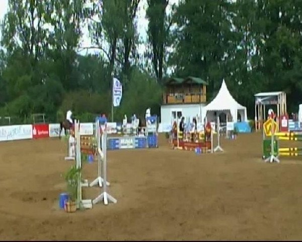 HORSE classics Killingen 2011