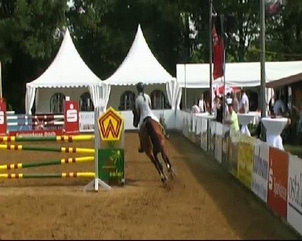 HORSE classics Killingen 2011
