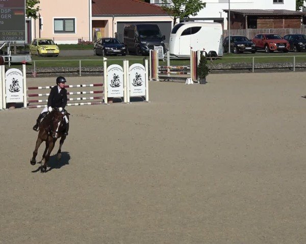 Reitturnier Ingolstadt-Hagau/Obb. 2024