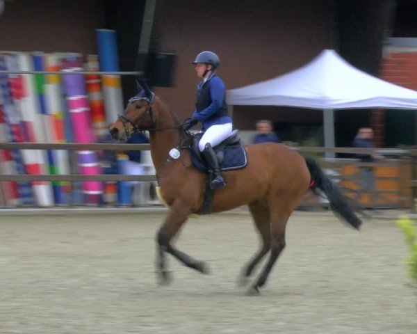 Reitturnier Heiden 2024