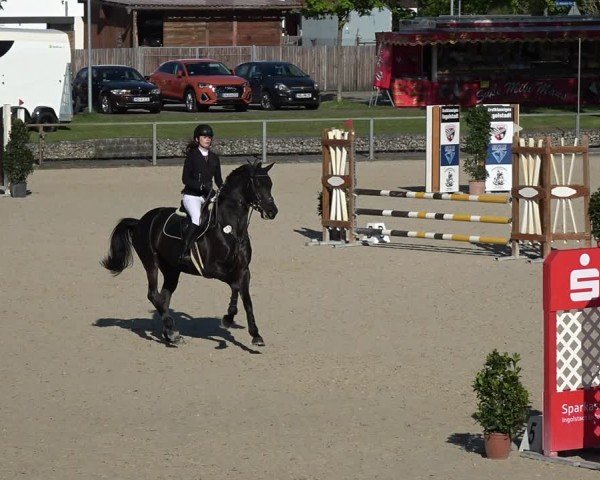 Reitturnier Ingolstadt-Hagau/Obb. 2024