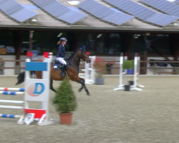 Reitturnier Heiden 2024