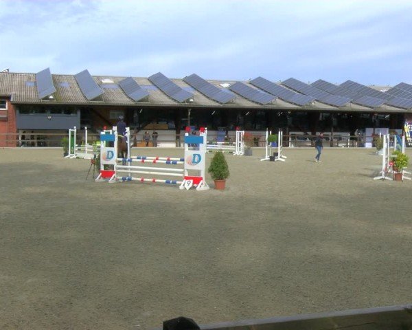 Reitturnier Heiden 2024
