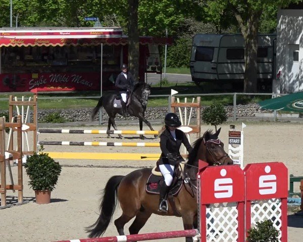 Reitturnier Ingolstadt-Hagau/Obb. 2024