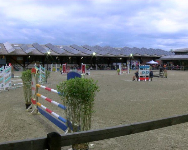 Reitturnier Heiden 2024