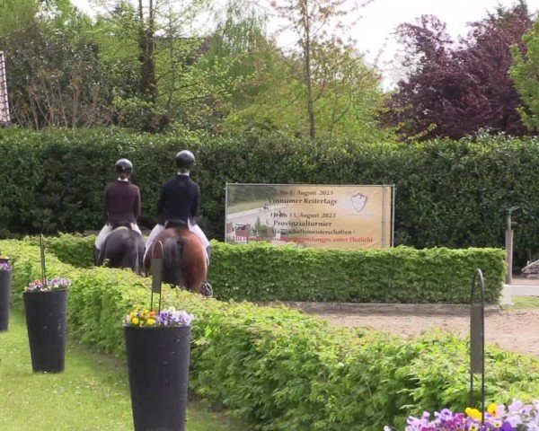 Reitturnier Olfen-Vinnum 2024