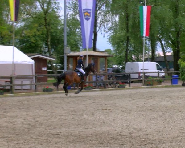 Reitturnier Heiden 2024