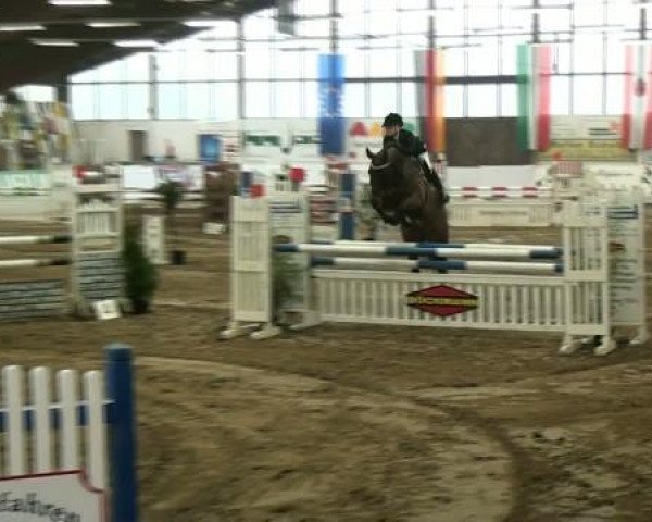 Hallenspringturnier Borken 2012