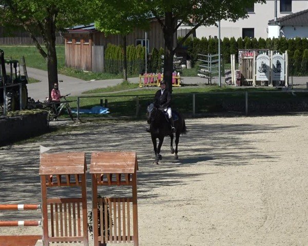 Reitturnier Ingolstadt-Hagau/Obb. 2024