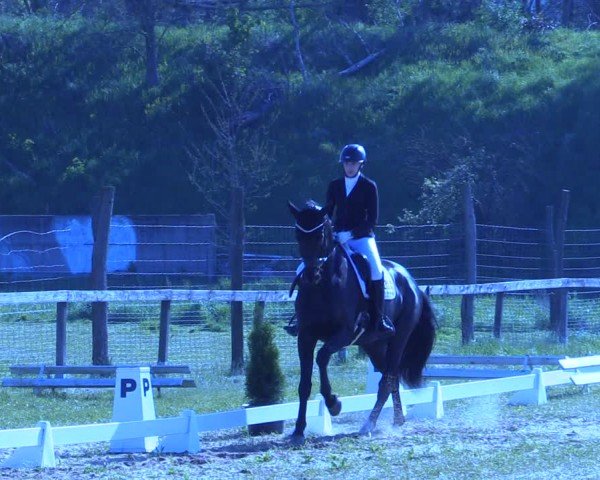 Reitturnier Colbitz 2024