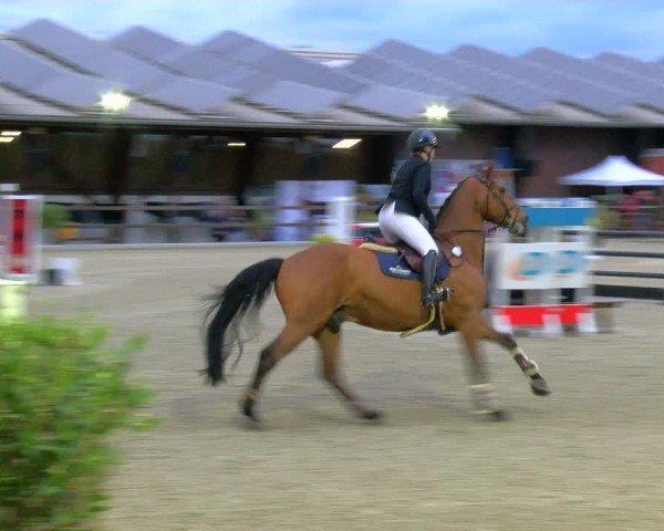 Reitturnier Heiden 2024