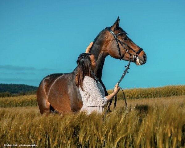 jumper Cayana Ih (Westphalian, 2018, from Christiano)
