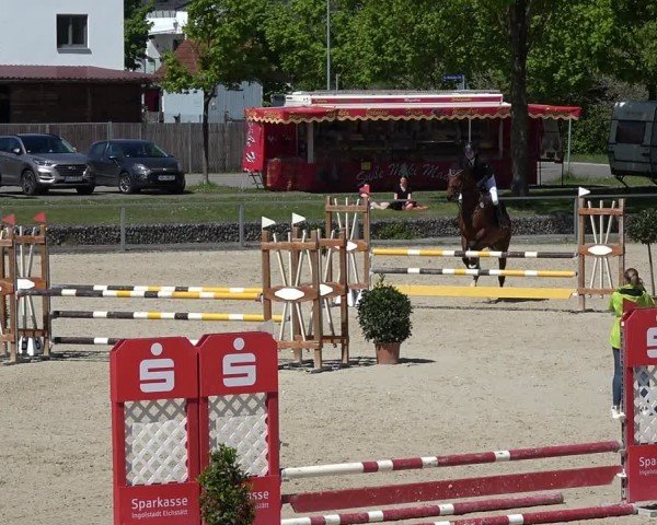 Reitturnier Ingolstadt-Hagau/Obb. 2024