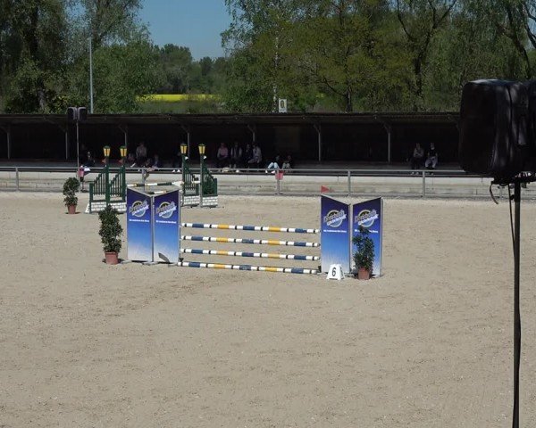 Reitturnier Ingolstadt-Hagau/Obb. 2024