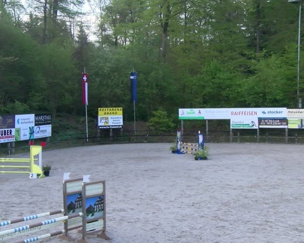 Reitturnier Sins 2024