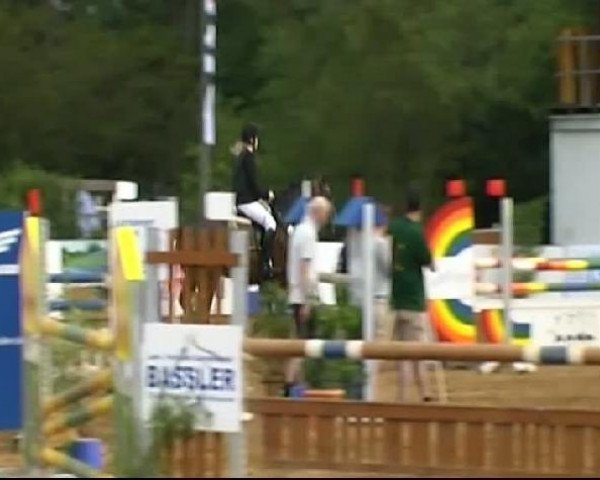 HORSE classics Killingen 2011