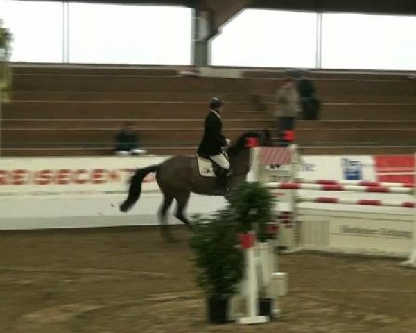 Hallenspringturnier Borken 2012