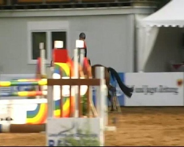 HORSE classics Killingen 2011
