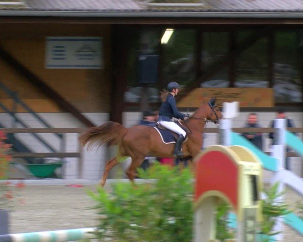 Reitturnier Heiden 2024
