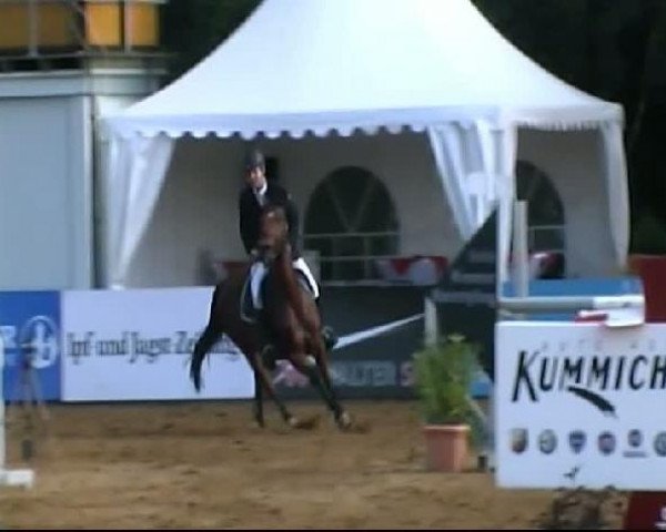 HORSE classics Killingen 2011