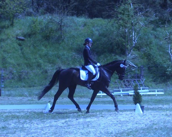 Reitturnier Colbitz 2024