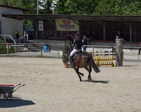 Reitturnier Ingolstadt-Hagau/Obb. 2024
