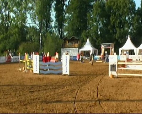 HORSE classics Killingen 2011