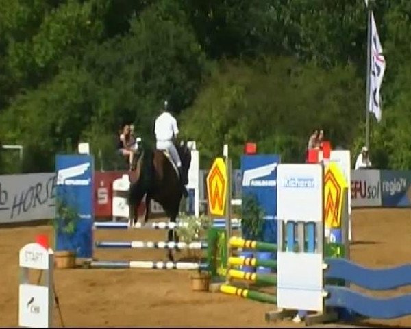 HORSE classics Killingen 2011