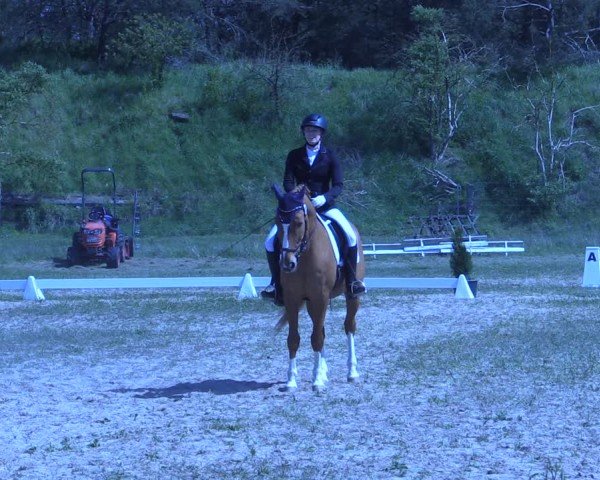 Reitturnier Colbitz 2024