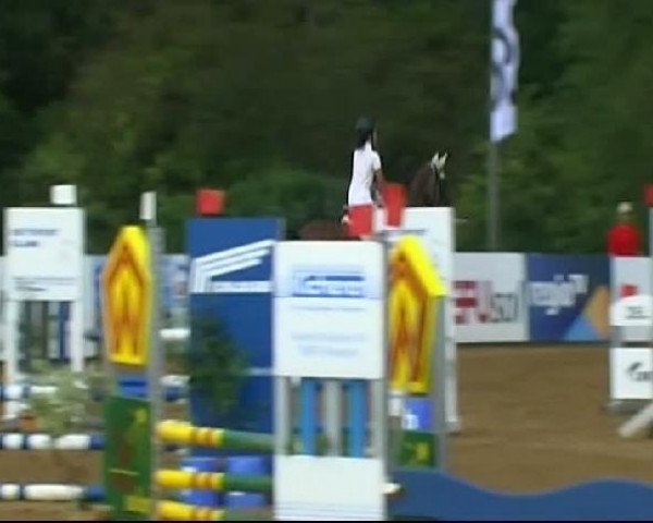 HORSE classics Killingen 2011