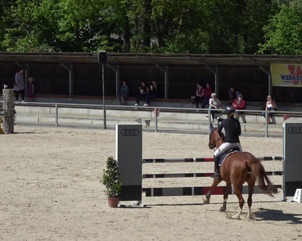 Reitturnier Ingolstadt-Hagau/Obb. 2024