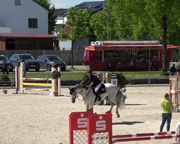 Reitturnier Ingolstadt-Hagau/Obb. 2024