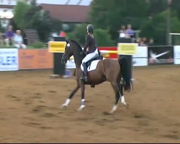 HORSE classics Killingen 2011