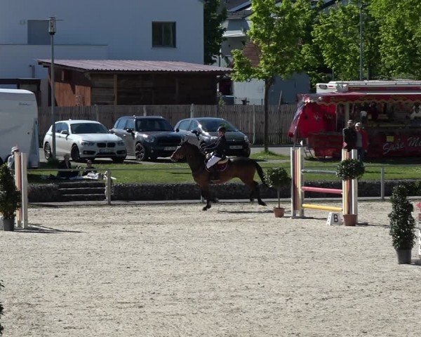 Reitturnier Ingolstadt-Hagau/Obb. 2024