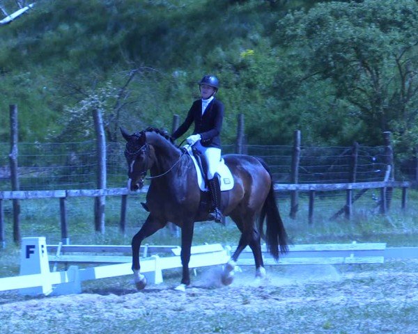Reitturnier Colbitz 2024