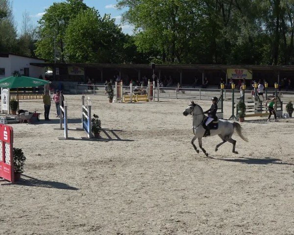 Reitturnier Ingolstadt-Hagau/Obb. 2024