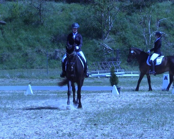 Reitturnier Colbitz 2024