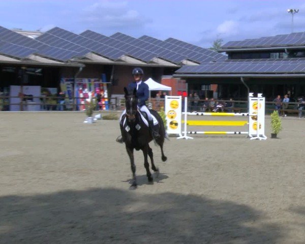 Reitturnier Heiden 2024