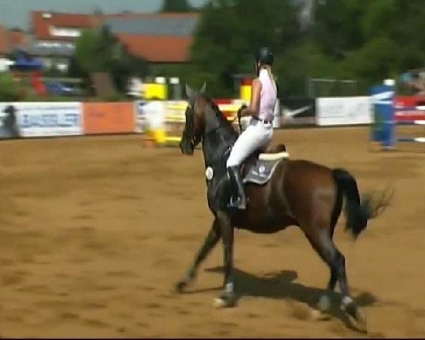 HORSE classics Killingen 2011