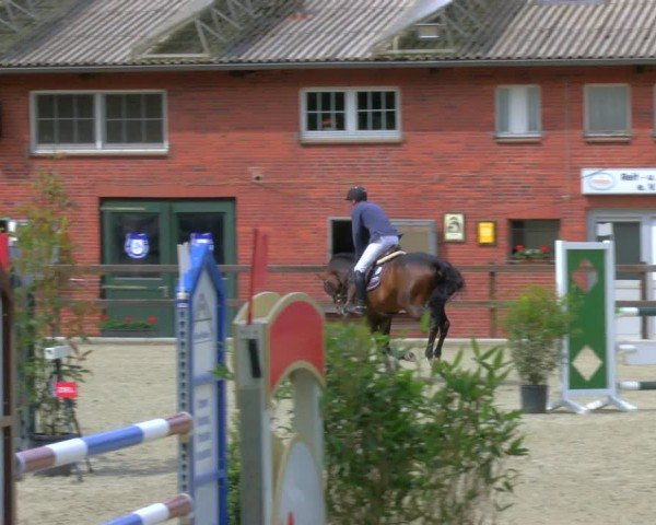 Reitturnier Heiden 2024