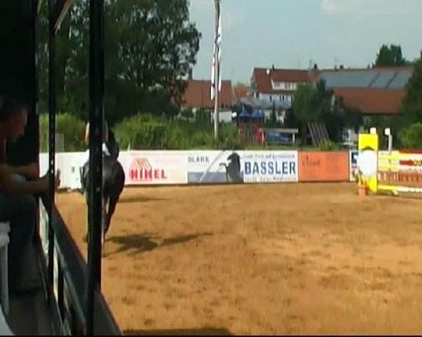 HORSE classics Killingen 2011