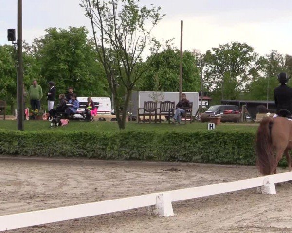 Reitturnier Olfen-Vinnum 2024