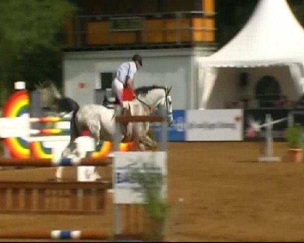 HORSE classics Killingen 2011