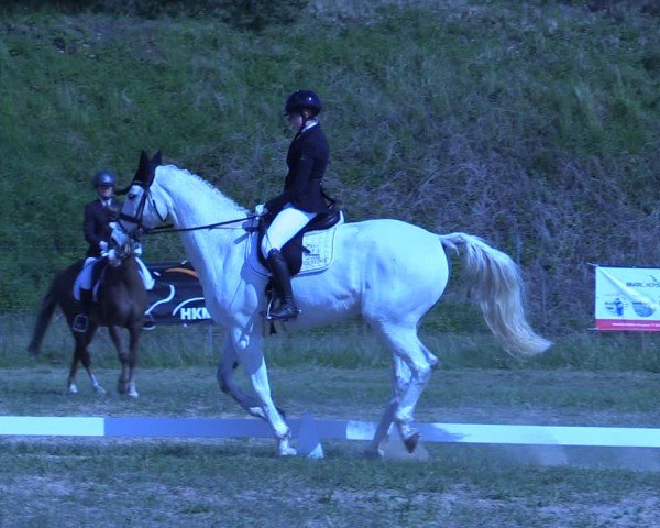 Reitturnier Colbitz 2024